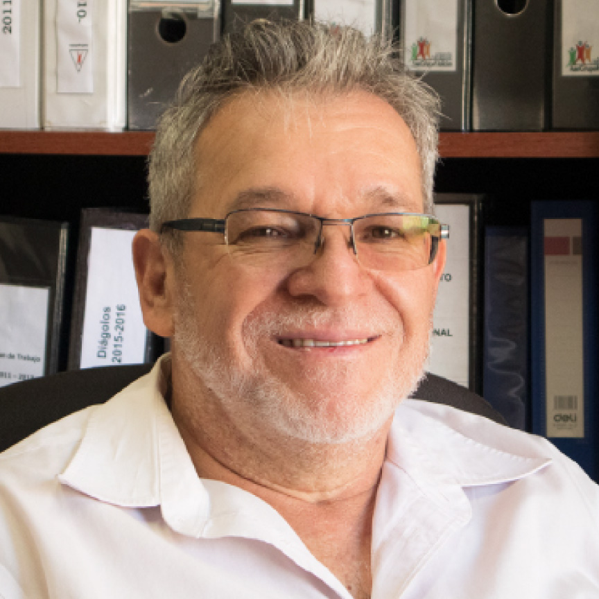 Alfonso Molina R.